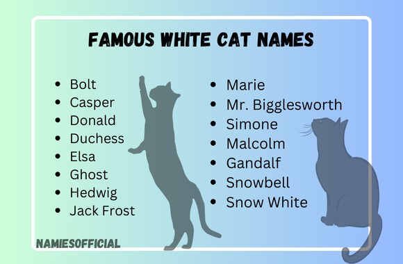 Famous White Cat Names