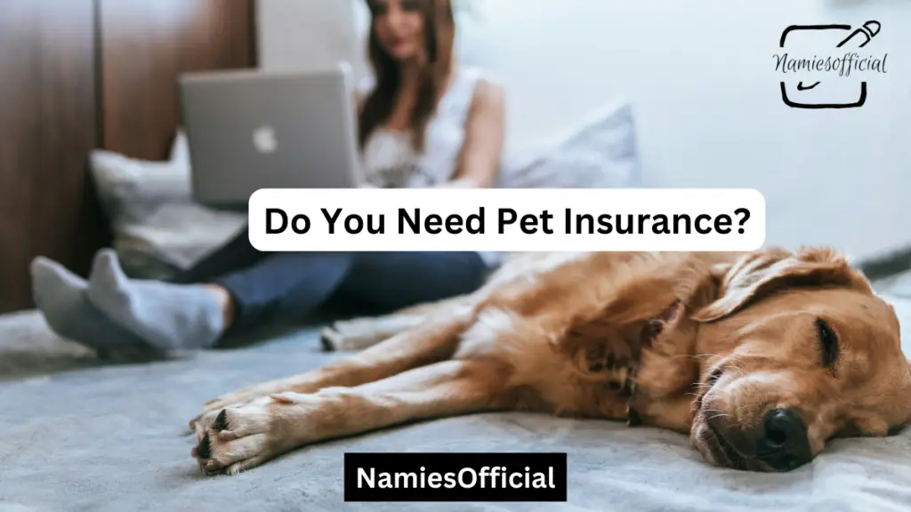 Do You Need Pet Insurance?