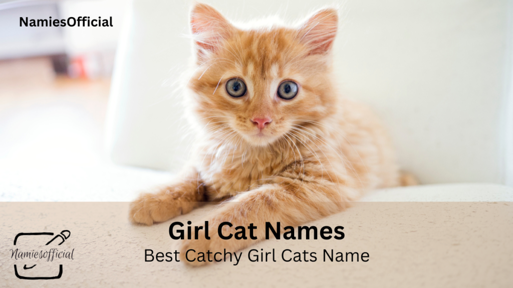 Famous Cat Names