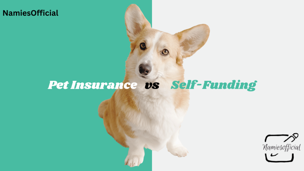 Pet Insurance vs. Self-Funding