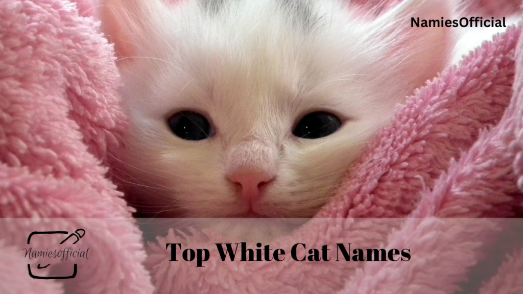 White Cat Names