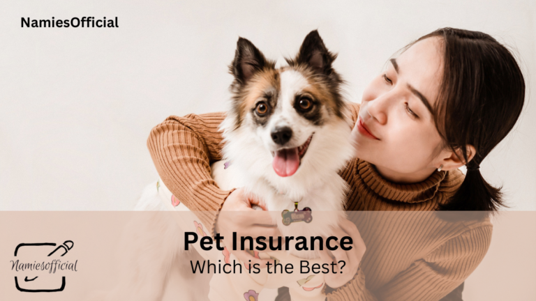 Which Pet Insurance is the Best?