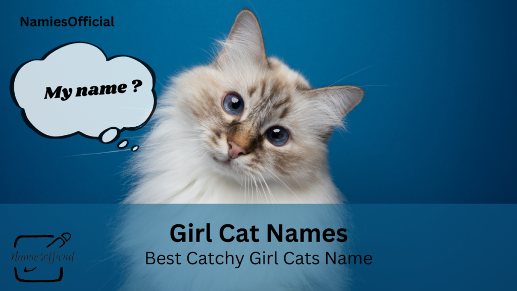 Girl Cat Names