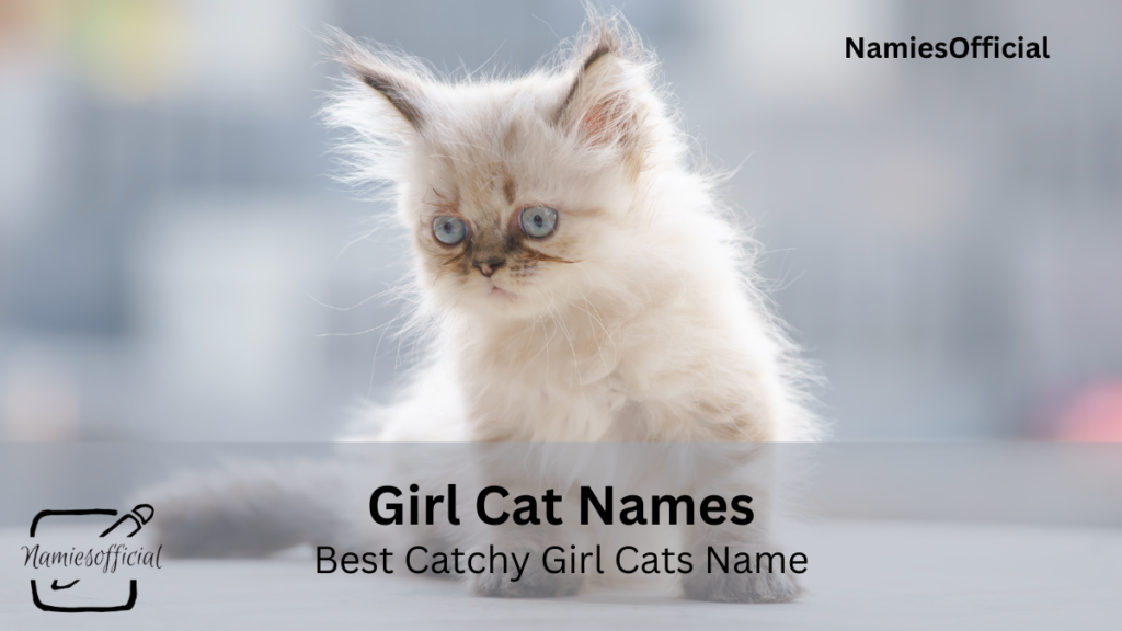 Cat Names