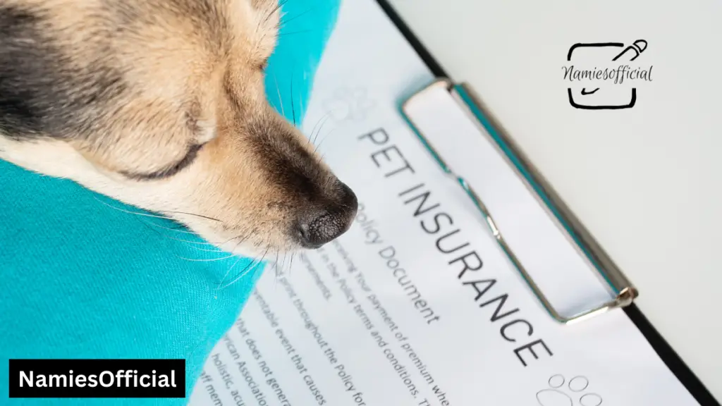 What is Pet Insurance?