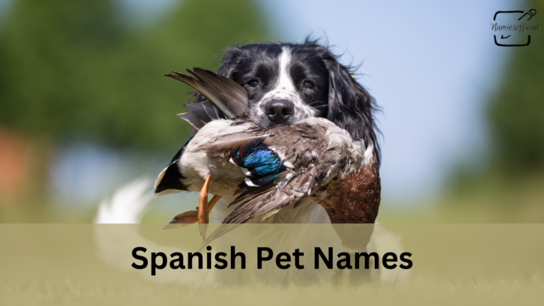 Spanish pet names