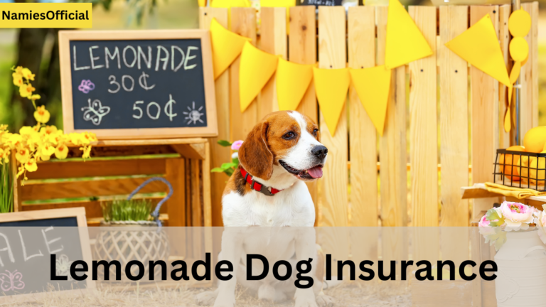 Lemonade Dog Insurance