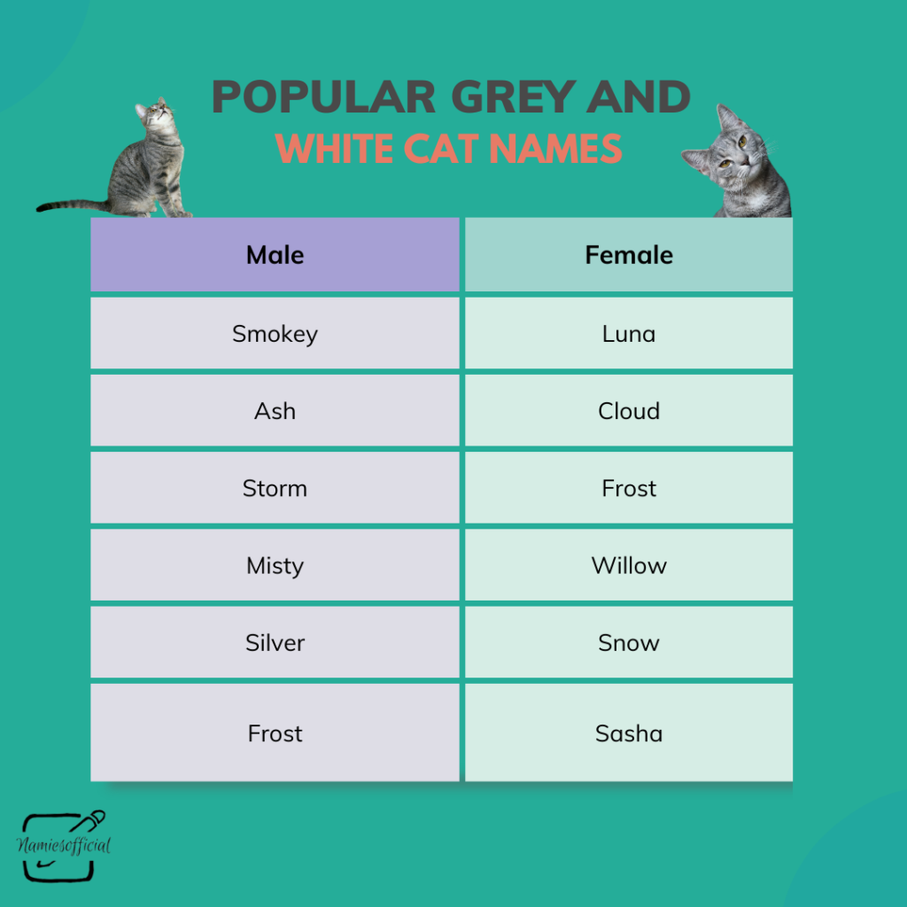 Grey and White Cat Names