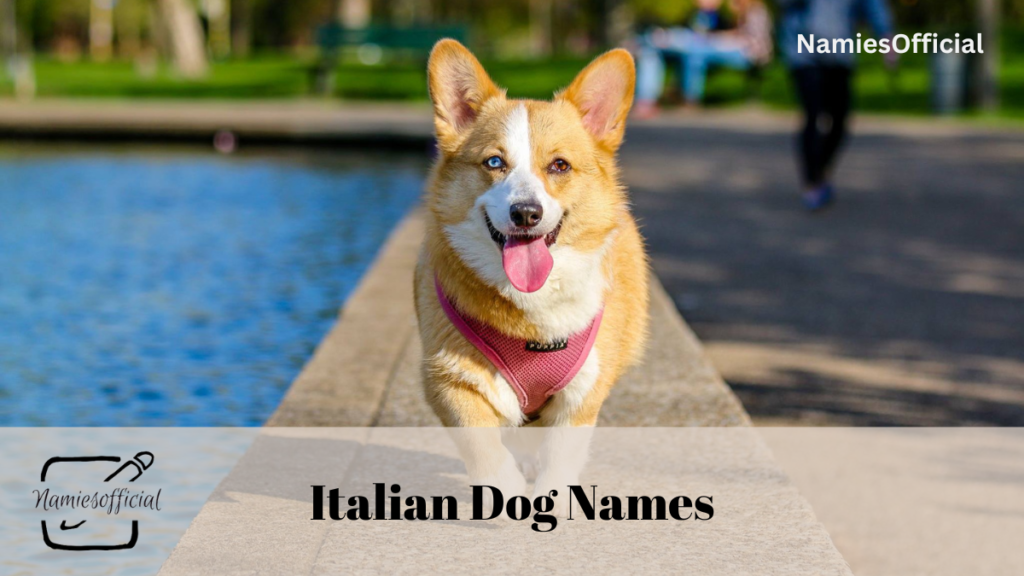 Popular Italian Dog Names