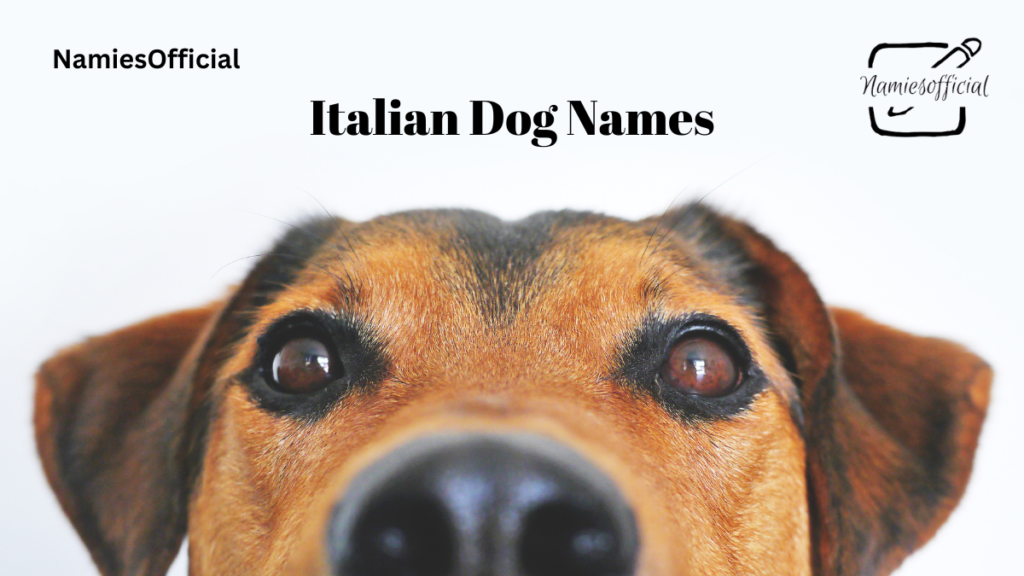 Tips for Naming Your Dog