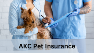 5 Key Benefits of AKC Pet Insurance