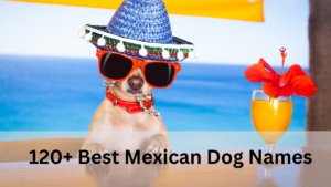 Mexican Dog Names