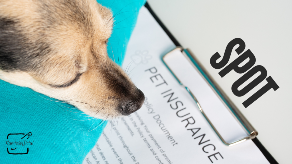 Spot pet insurance login