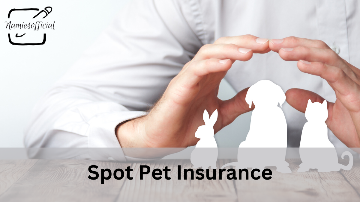 Spot Pet Insurance