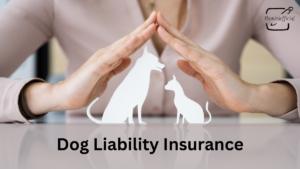 Dog Liability Insurance