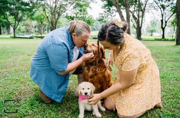 Dog Behavior Training Near Me