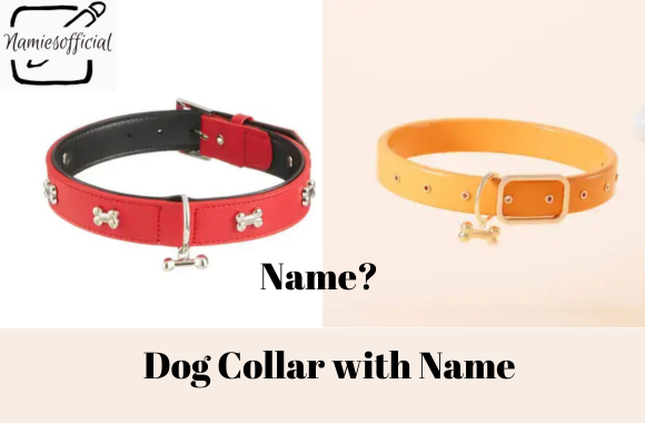 Dog Collar with Name