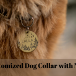 Dog Collar with Name