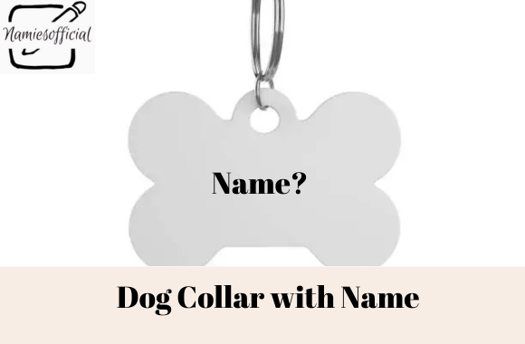 Dog Collar with Name