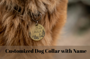 Dog Collar with Name