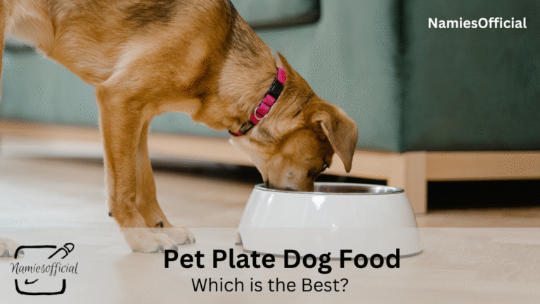 pet plate dog food